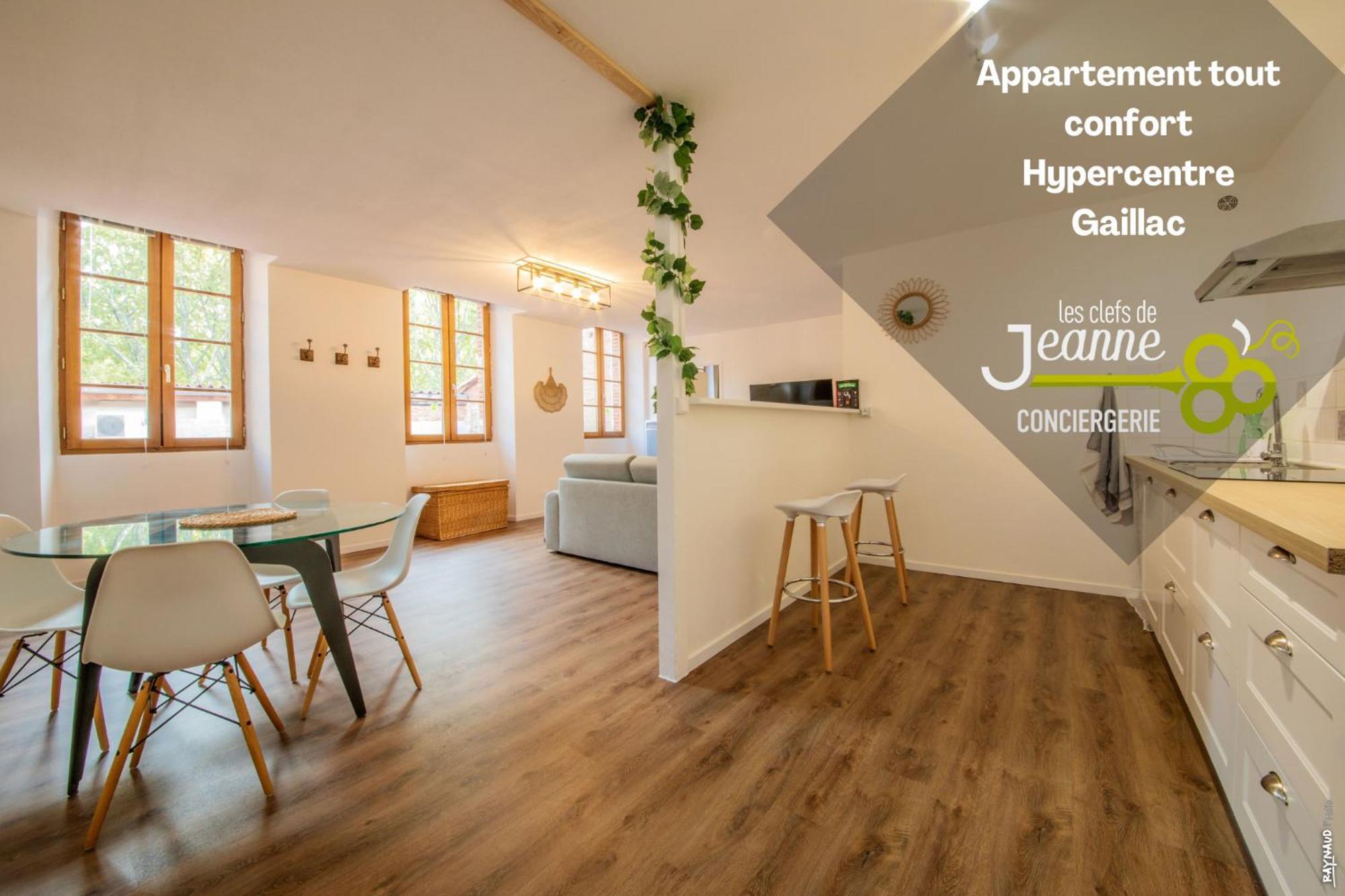 Appartement Tout Confort - Hypercentre - 58M2 - Gaillac Exterior photo